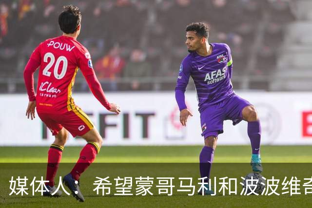媒体人：希望蒙哥马利和波波维奇同路，强悍对抗+给足速度反击